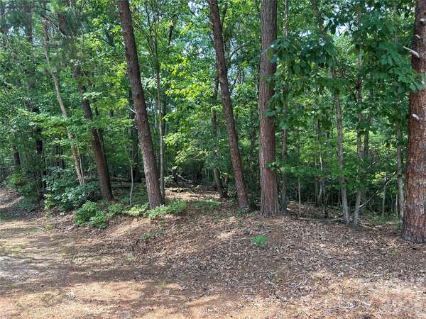 111 Peach DR #333, Troy, NC 27371