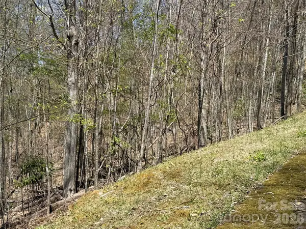 24 Elk Mountain LOOP, Newland, NC 28657
