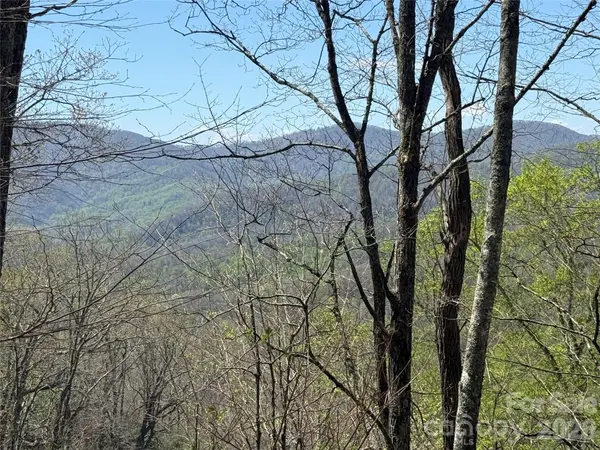 24 Elk Mountain LOOP, Newland, NC 28657