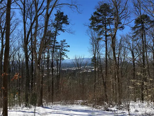 28 Samuel Ashe DR, Asheville, NC 28805