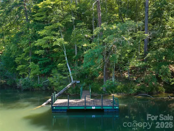 Lot #13 South Cove RD, Mill Spring, NC 28756