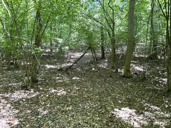 00 River Crest Pkwy #26, Rutherfordton, NC 28139