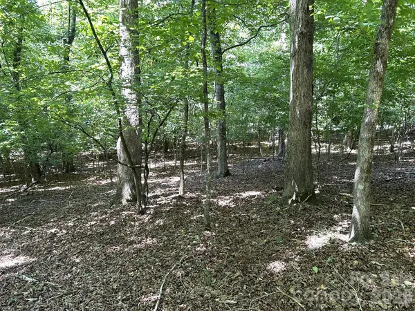 00 River Crest Pkwy #26, Rutherfordton, NC 28139