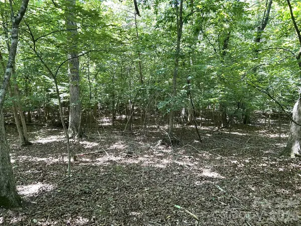 00 River Crest Pkwy #26, Rutherfordton, NC 28139