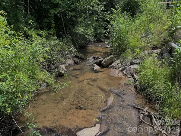 TBD Paint Fork RD, Barnardsville, NC 28709