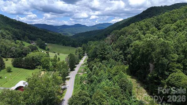 TBD Paint Fork RD, Barnardsville, NC 28709