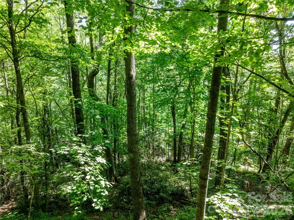 8 White Birch CT #424, Black Mountain, NC 28711