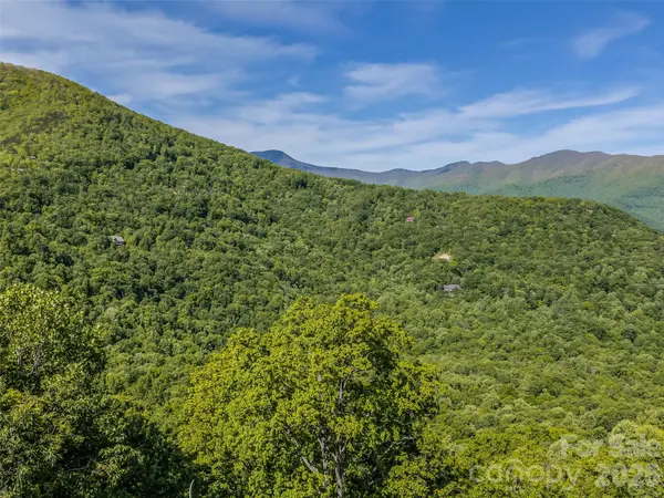 8 White Birch CT #424, Black Mountain, NC 28711