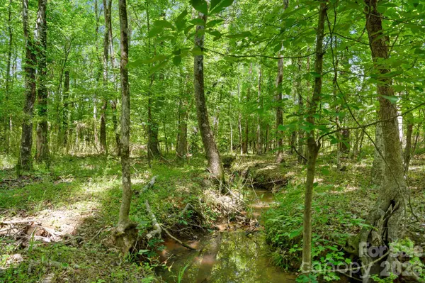 0000 Cool Branch RD #5, Carlisle, SC 29706