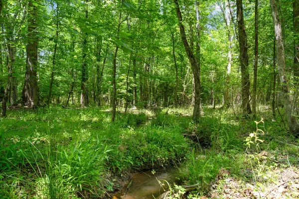 0000 Cool Branch RD #5, Carlisle, SC 29706
