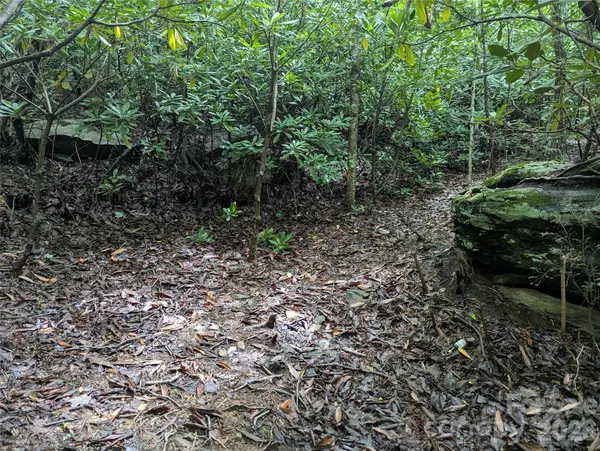 99999 Maryland PL #1426, Montreat, NC 28757