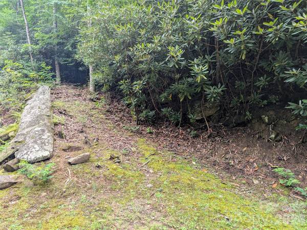 99999 Maryland PL #1426, Montreat, NC 28757