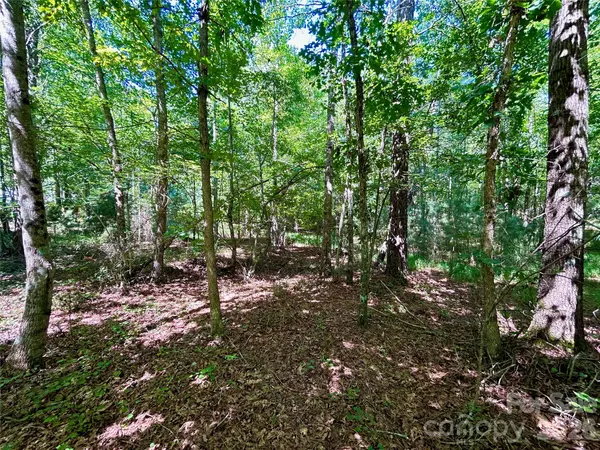 1036 W Paradise Harbor DR, Connelly Springs, NC 28612