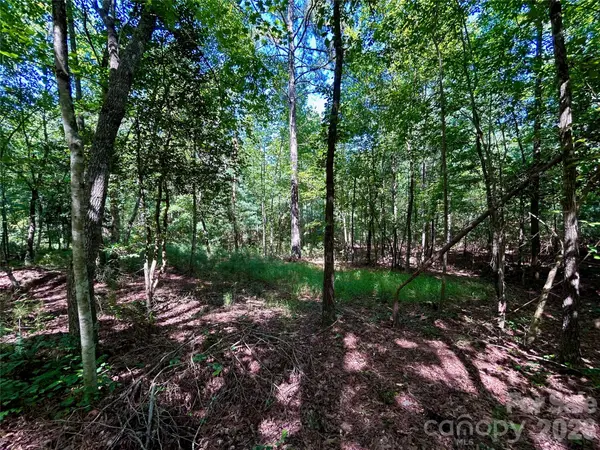 1036 W Paradise Harbor DR, Connelly Springs, NC 28612