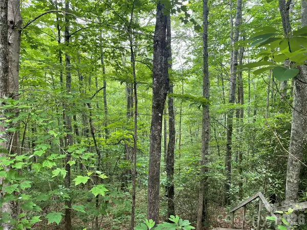 Lt 279 Cabin Flats RD #279, Balsam, NC 28707