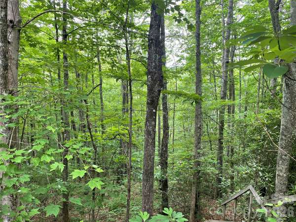 Lt 279 Cabin Flats RD #279, Balsam, NC 28707