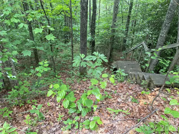 Lt 279 Cabin Flats RD #279, Balsam, NC 28707