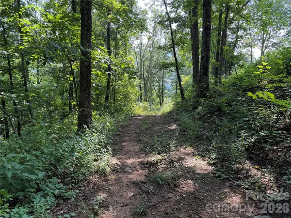 0000 Sorrells Creek RD, Canton, NC 28716