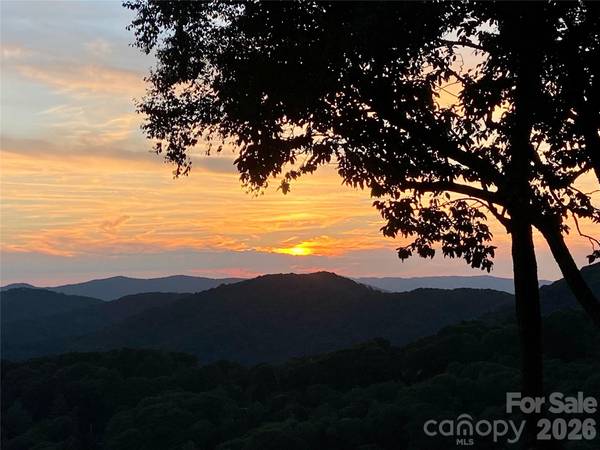 156 Cottage LN #13, Mars Hill, NC 28754