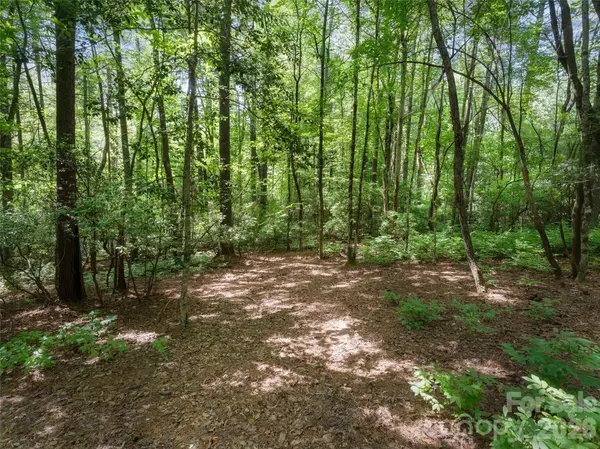 Lot 161 Eagle Lake DR, Brevard, NC 28712