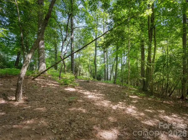 Lot 161 Eagle Lake DR, Brevard, NC 28712