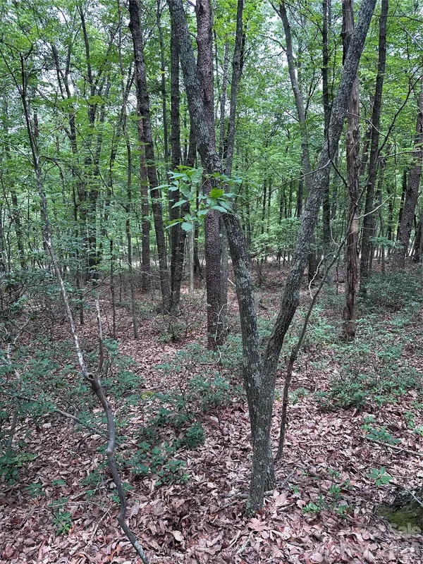 1070 Elm ST, Danbury, NC 27016