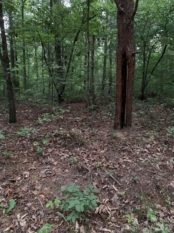 0 Ore Bank RD, Smyrna, SC 29743