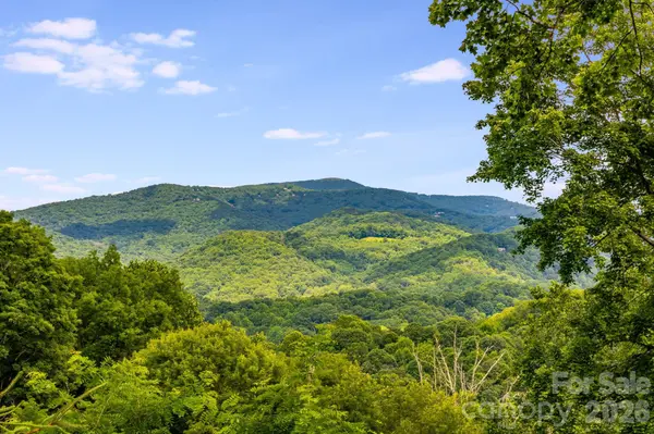 1185 & 1115 Black Bear DR, Mars Hill, NC 28754