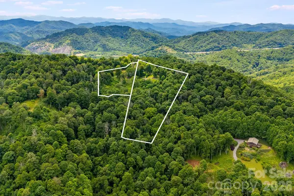 1185 & 1115 Black Bear DR, Mars Hill, NC 28754