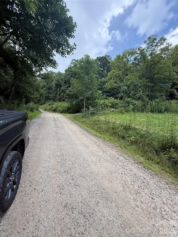 99999 Walking Horse TRL, Candler, NC 28715