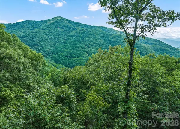 582 Tsalagi TRL, Maggie Valley, NC 28751