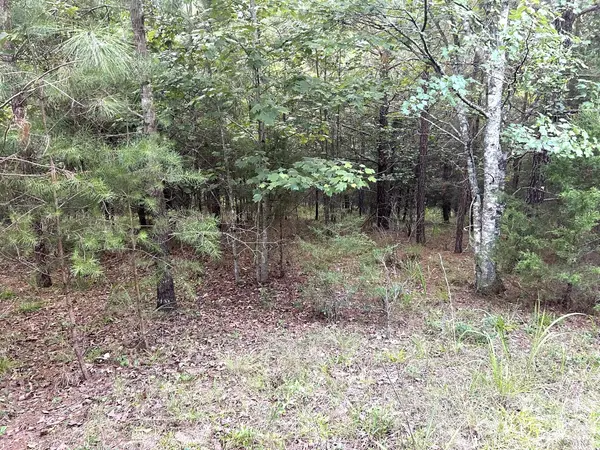 00 Cross Creek DR #277, Rutherfordton, NC 28139