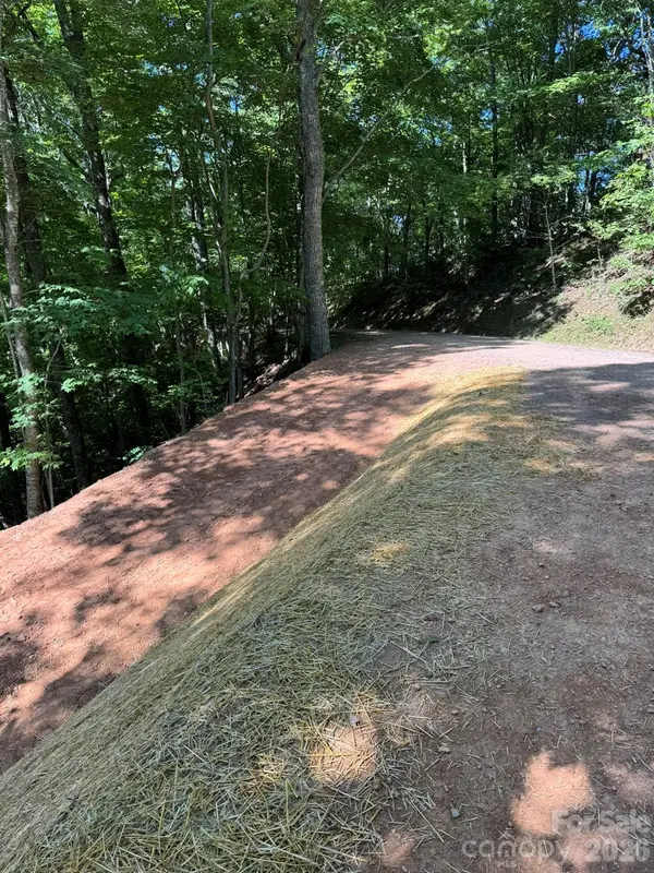 97 Hosta DR, Sylva, NC 28779