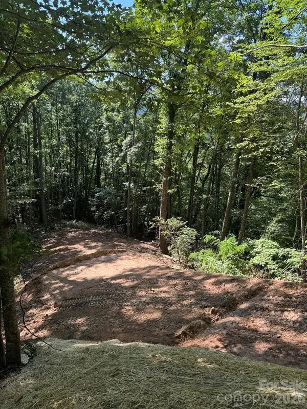 97 Hosta DR, Sylva, NC 28779