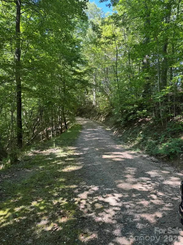 97 Hosta DR, Sylva, NC 28779