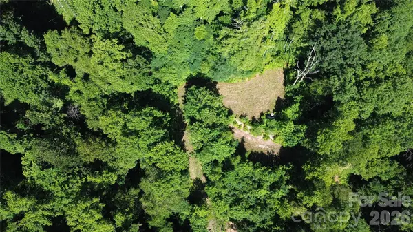 99999 Morgan Hill RD, Black Mountain, NC 28711