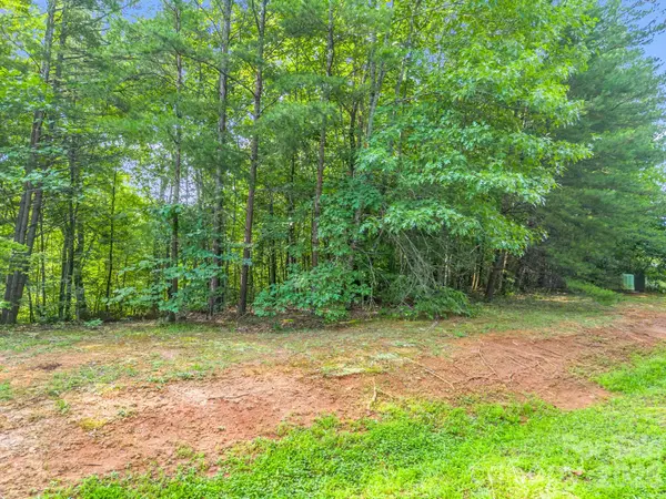 00 Laurel Lakes Pkwy #44, Lake Lure, NC 28746