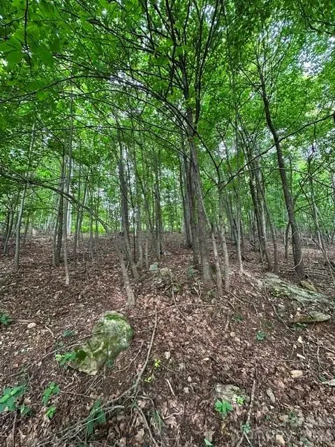 0 Cove Gap RD #1, Moravian Falls, NC 28654
