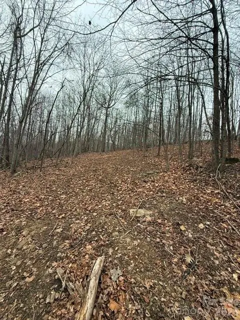 0 Cove Gap RD #1, Moravian Falls, NC 28654