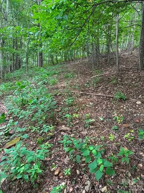 0 Cove Gap RD #1, Moravian Falls, NC 28654