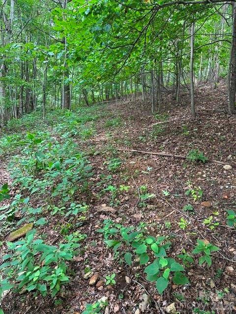 0 Cove Gap RD #1, Moravian Falls, NC 28654