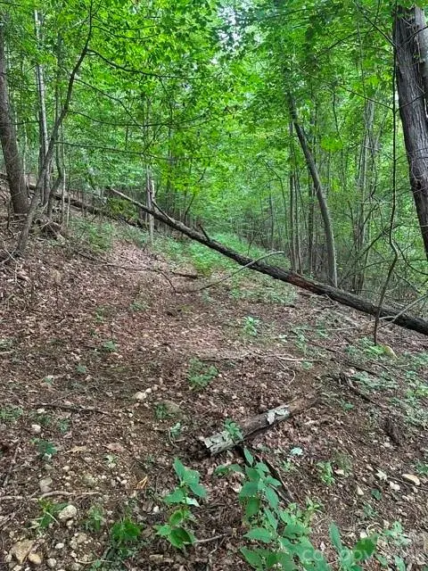0 Cove Gap RD #2, Moravian Falls, NC 28654
