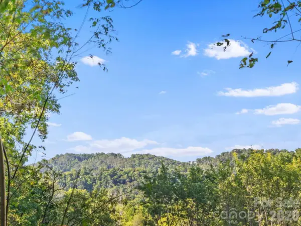 39 Spooks Branch EXT, Asheville, NC 28804