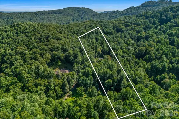 820 Merrills Cove RD, Asheville, NC 28803