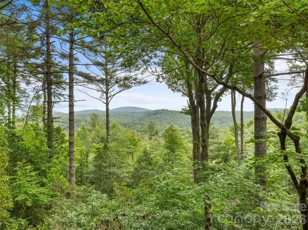 32 Uloque CT, Brevard, NC 28712
