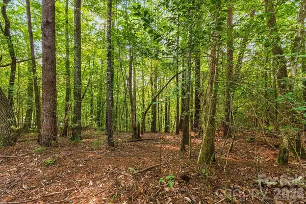 178 Lentz Landing LN, Nebo, NC 28761