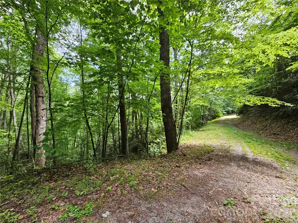 00 Autumn DR #2, Waynesville, NC 28785