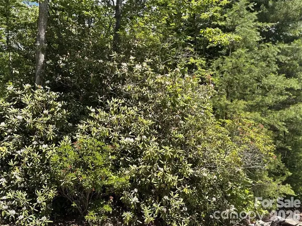 66 Boone Cove RD, Zirconia, NC 28790