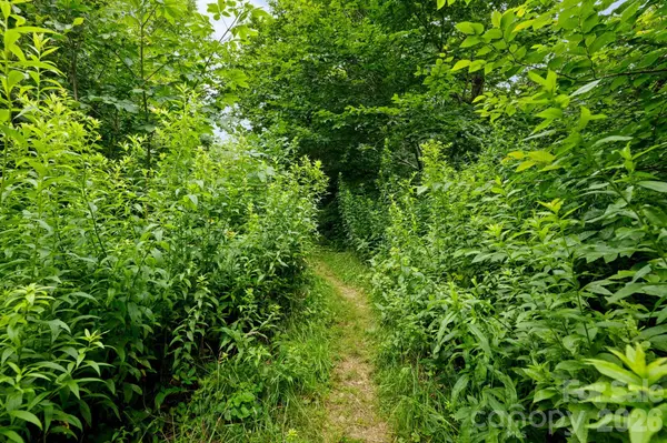 Lot 96 Cloud Spring DR #96, Sugar Mountain, NC 28604