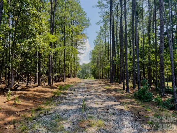 955 Cole Trestle RD, Blair, SC 29015